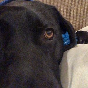 Meet your Posher, Kai